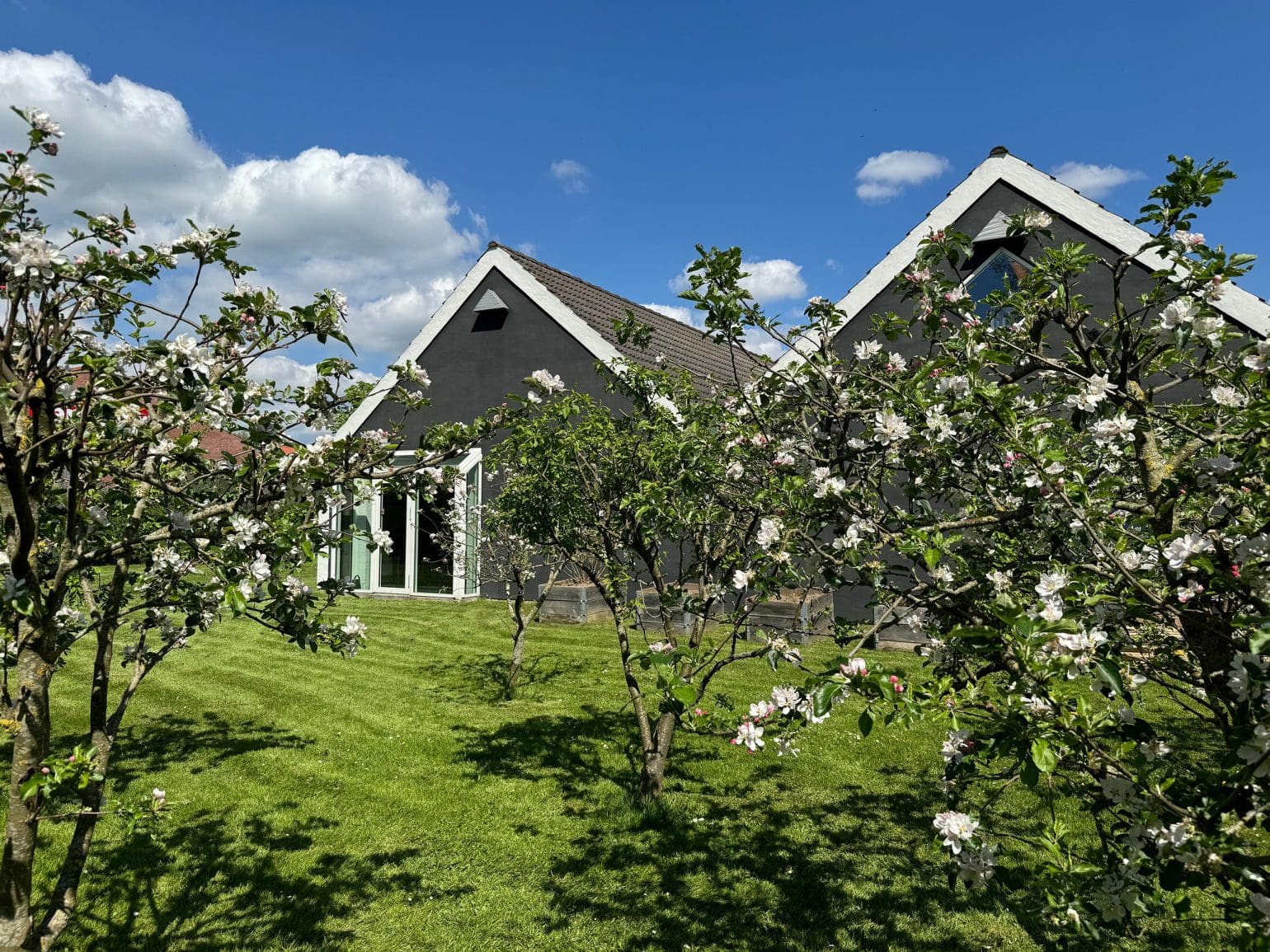 bild på Discover Systems på Magnoliavej 14